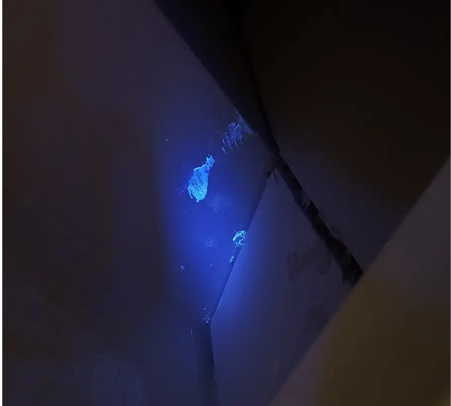 Alpi Travaux En Hauteur Nice Galerie Photos 01